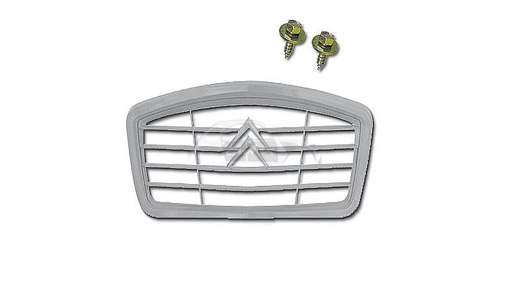 Kühlergrill mit grauem Rand