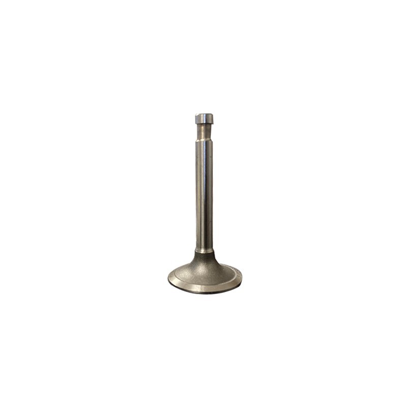 Auslassventil 425cm³